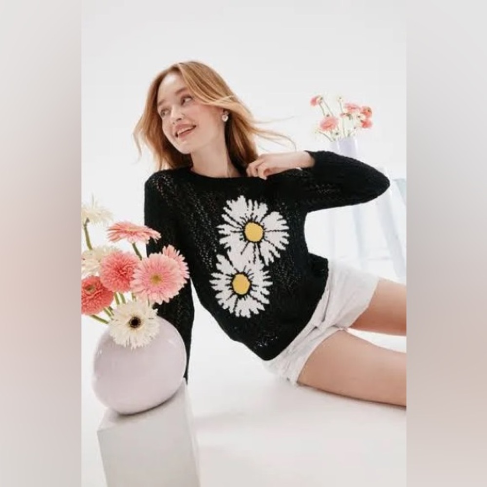 Francesca’s Daisy Knit Sweater, only worn once! Size large